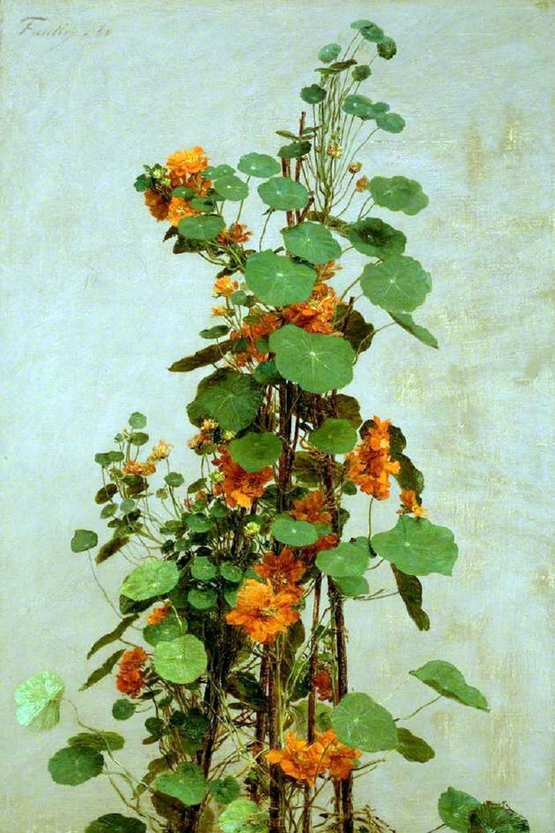 Nasturtium   Henri Fantin Latour