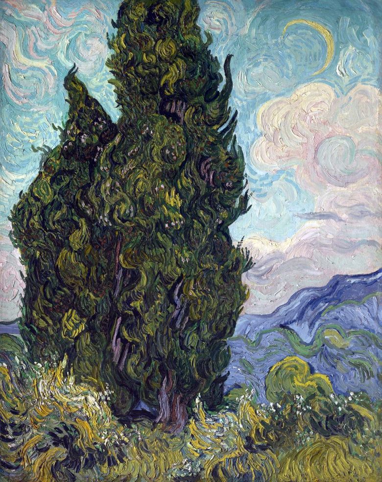 Cypressträd   Vincent Van Gogh