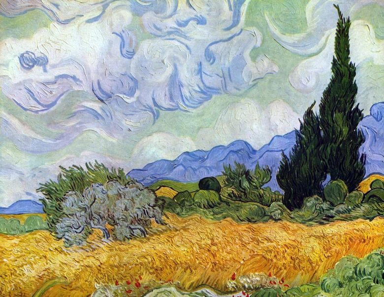 Vetefält med cypresser   Vincent Van Gogh