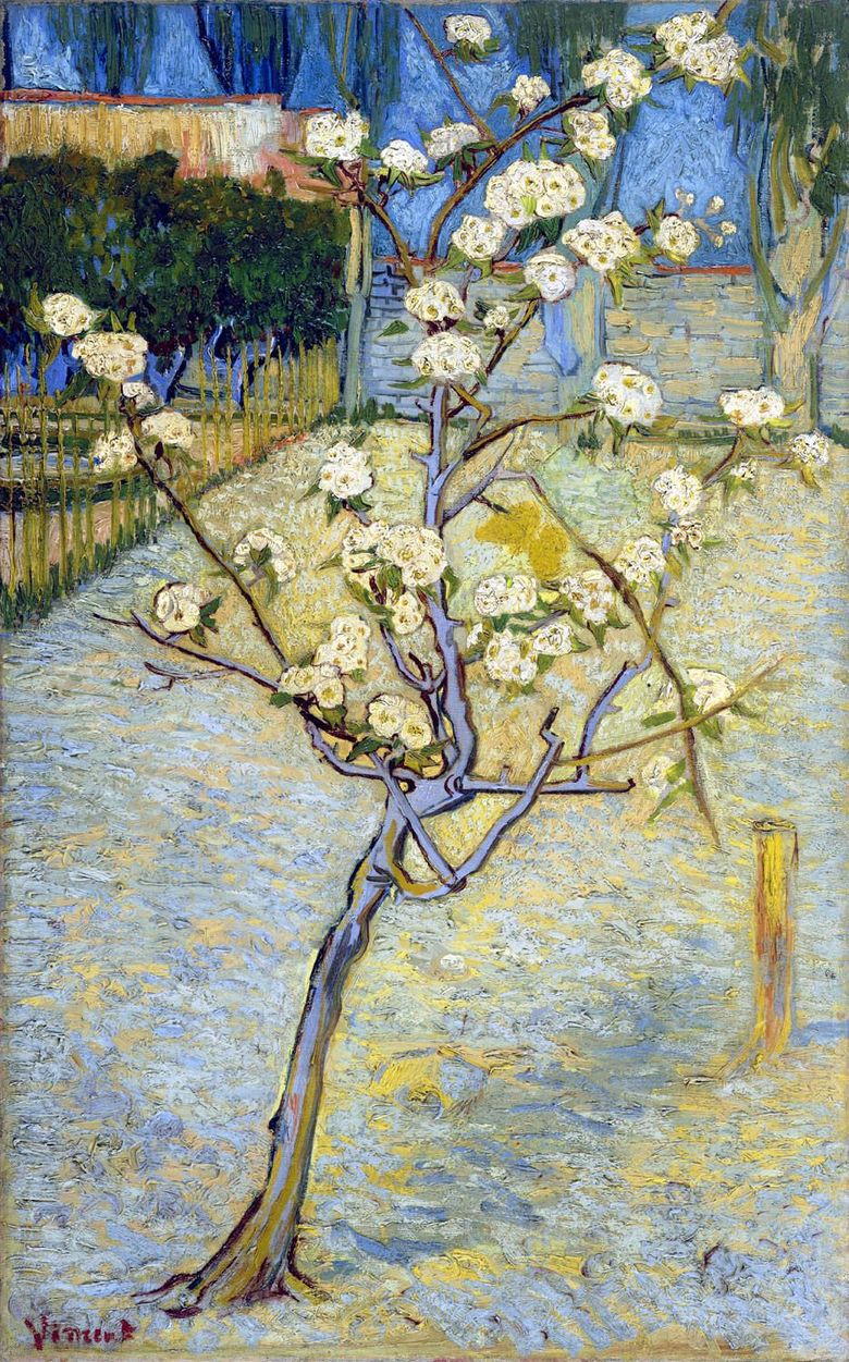 Päronblomning   Vincent Van Gogh