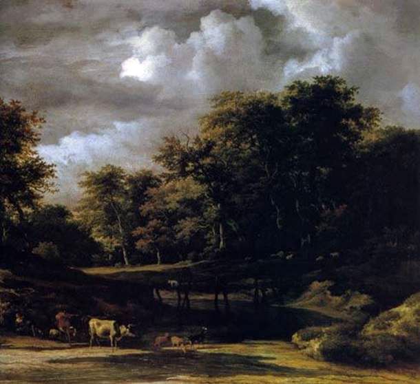 Skogslandskap   Jacob van Ruysdal