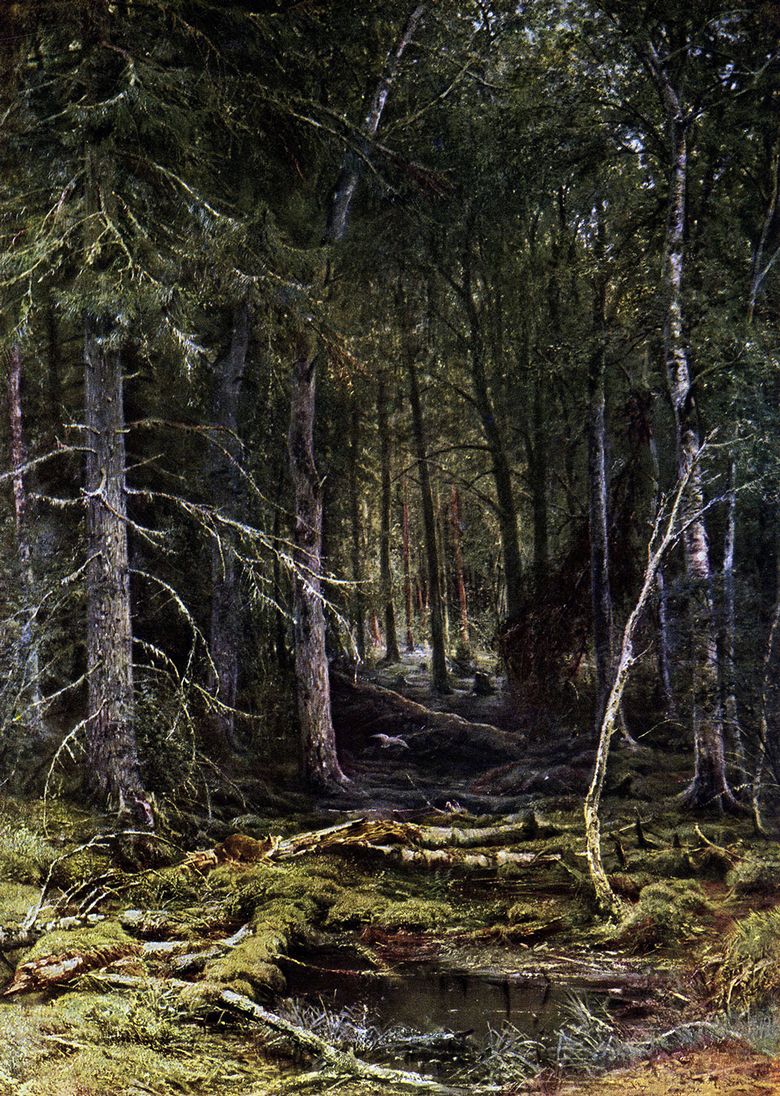 Skogens vildmark   Ivan Shishkin